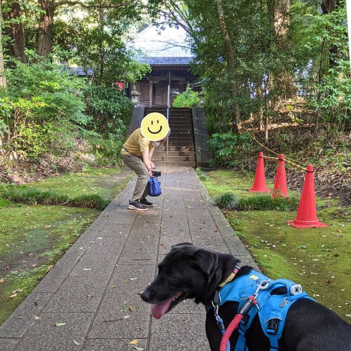 F6600ef0 fe57 484c bddc ec10b79722a3 1632357560673