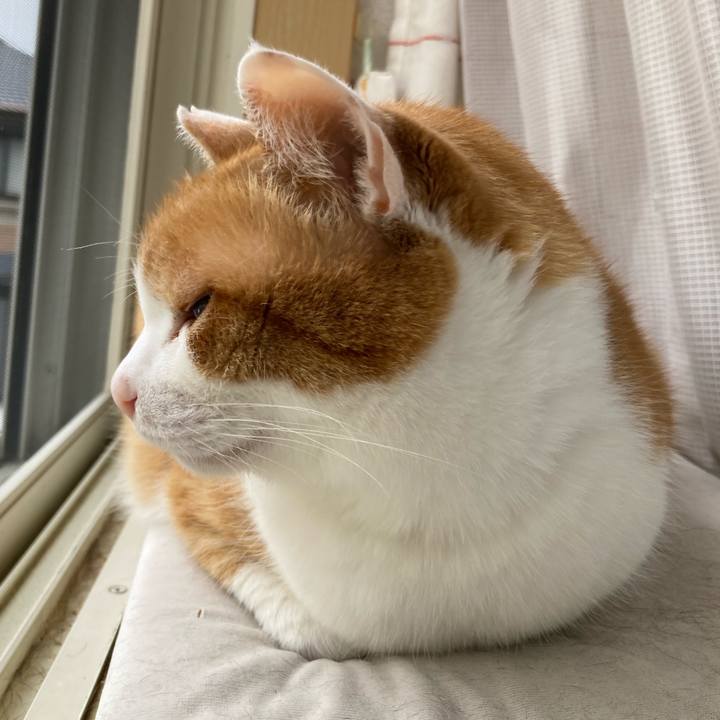 F6601851 2fc6 49dc ae3e 34831af31ab0 1753607994013