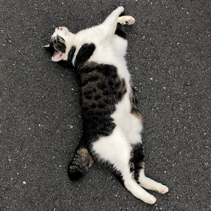 F6604150 3a7c 4828 b185 fbee5280fb47 1530073782265