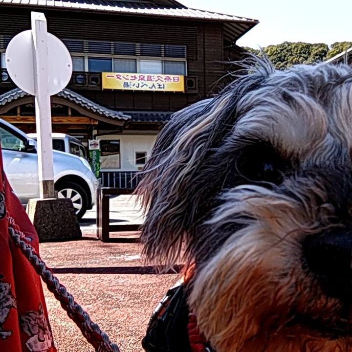 F6605af3 3542 4ae6 98ed 5decb0c52c16 1710076417049