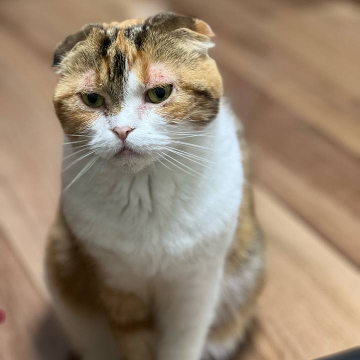 F66069fc ae37 41af af1e 3a4da30642f1 1711744335190