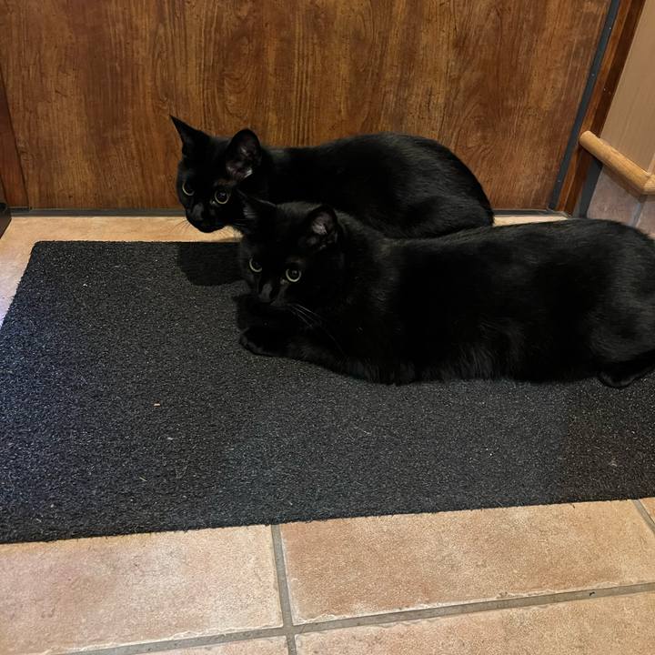 F6609255 1c93 45ae a0e2 27ccd06a7ac5 1659170731449