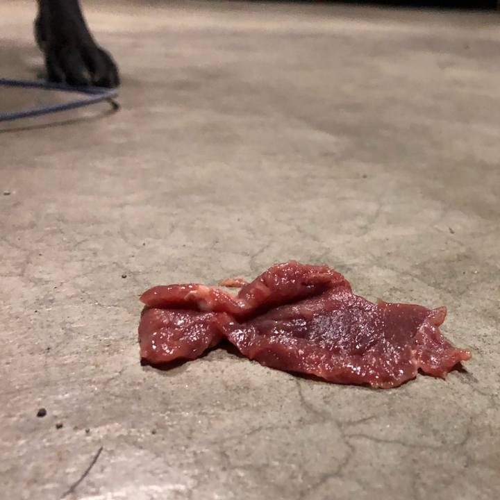 F660a7ca 8ba9 4ffb b9a2 f542cbdce748 1545990408674