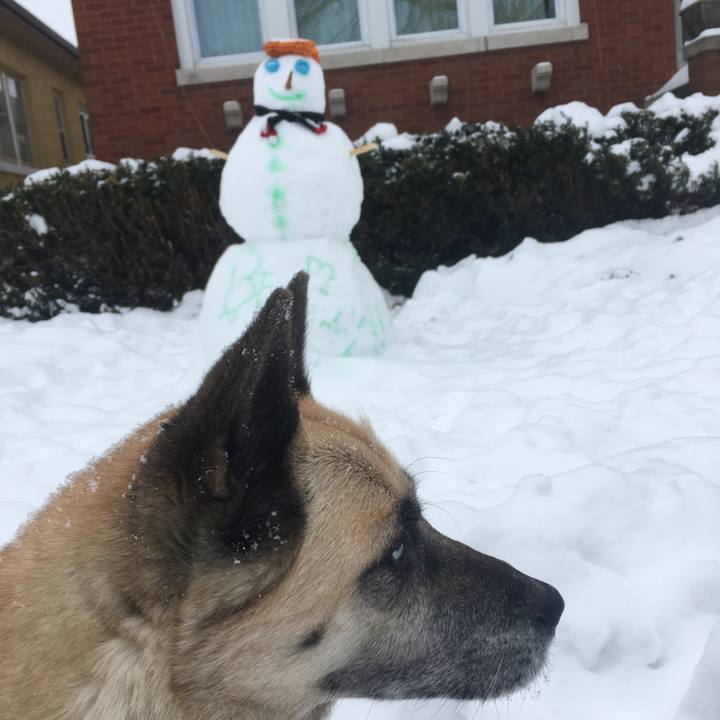 F6612b8e fa49 45a7 9ec7 0a9933d1f0e4 1518299535741