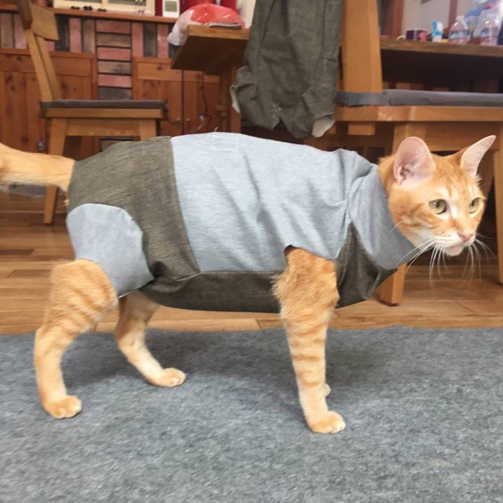 F661351f 9290 4488 9ae6 b363f8a90043 1535860430288