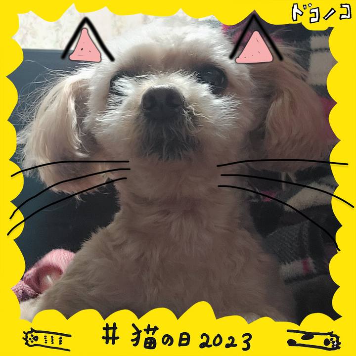 F6614712 0caf 4cc2 9f47 2bce81336c0f 1677034757114