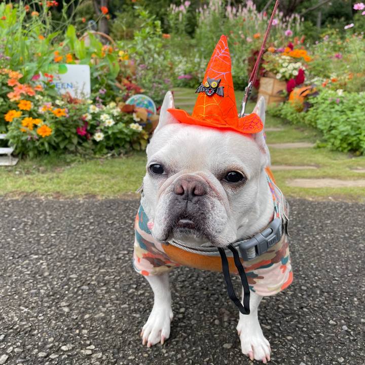 F66156d1 036b 4eda bd40 ba08bc752cb0 1760505547211