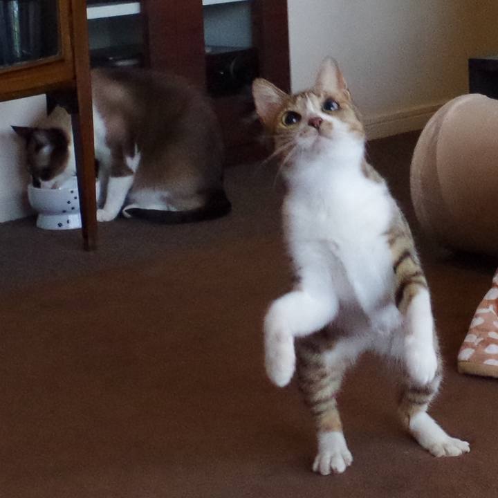 F6615748 3ab2 43bb a549 bdd0eee69398 1595230567315