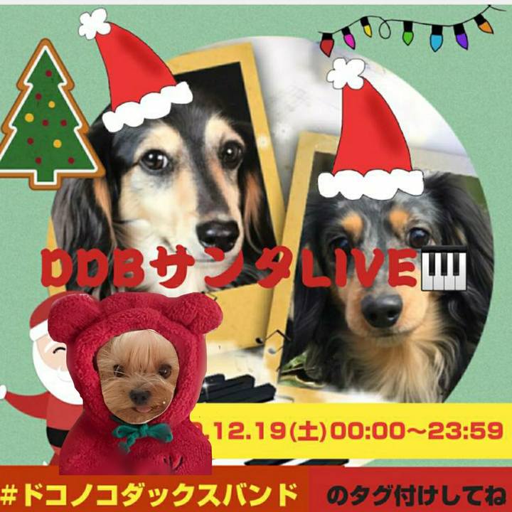 F661764c d41d 461b 970d 0a79bbd05a39 1607758764638