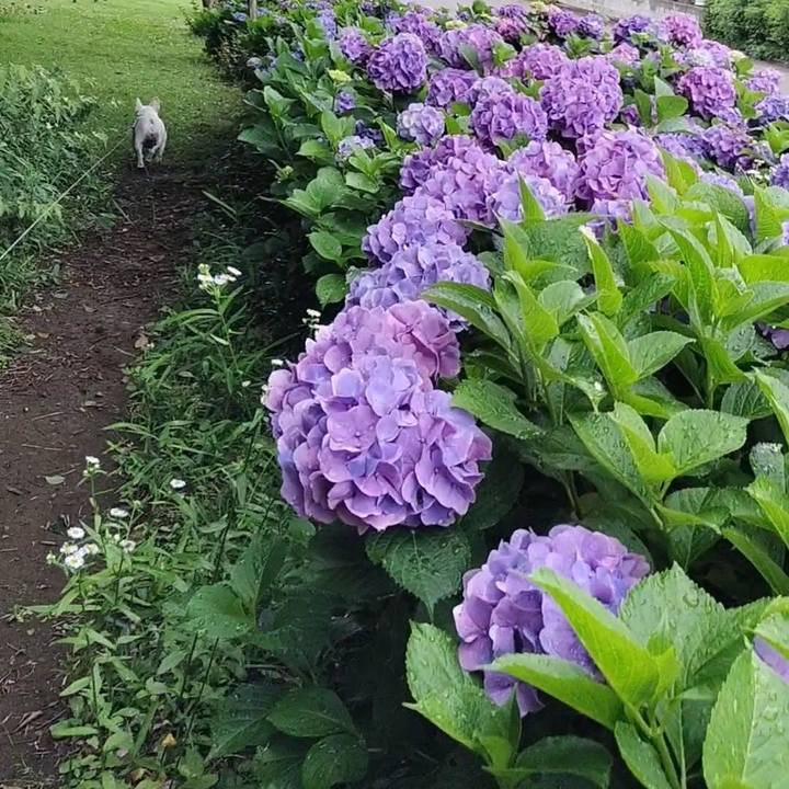 F661b14e 39b7 4851 afa2 44d06b3948ff 1686480392732