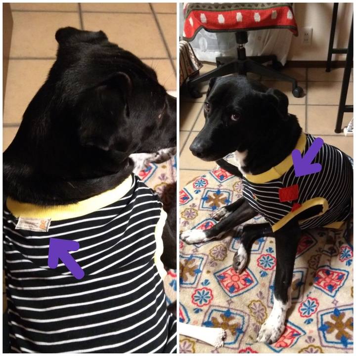 F661bdb4 c4db 466c 85b4 8aa759ade26c 1610188522483