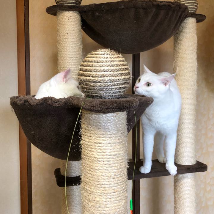 F661dafd eb8d 4cc6 a55a e70f892d0137 1561359148362