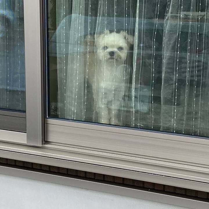 F661e2ee 9a89 41a4 9086 dfad57b57588 1601101262876