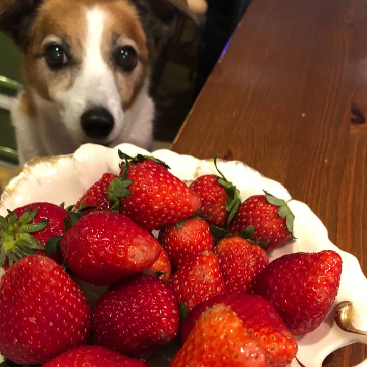 F66205fb 2af5 4a5d 86c9 690b90f4ff81 1527772178845