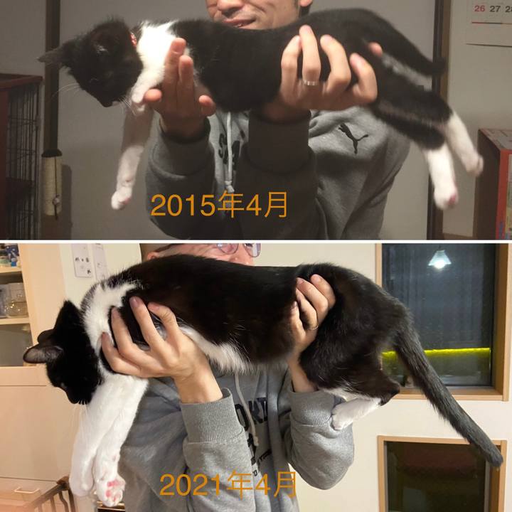 F6622b41 bb01 43ce 9ecf 8f0e45b0e149 1617621590935