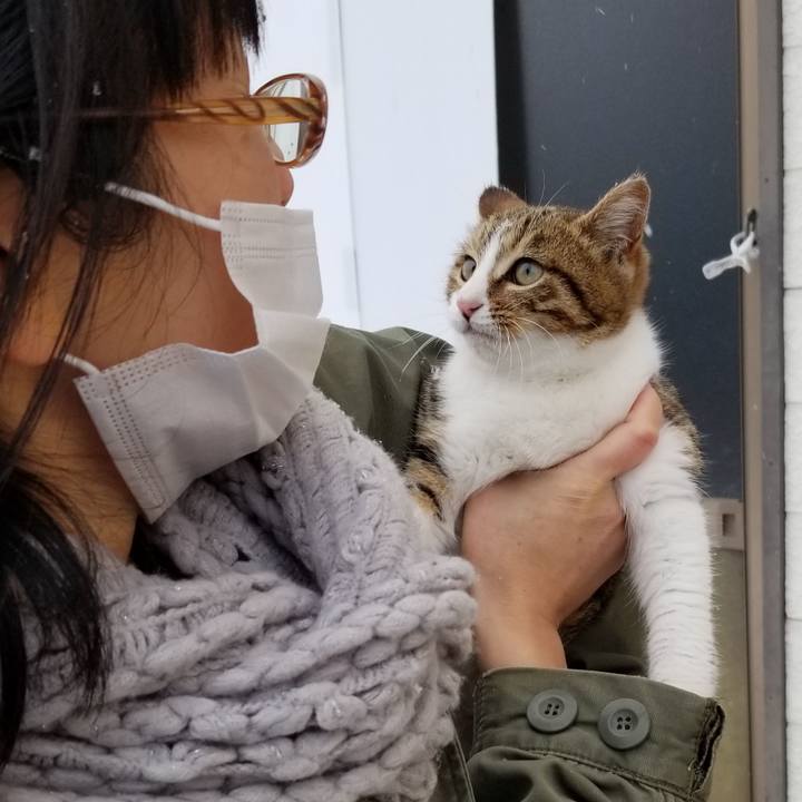 F6625c2b 878f 405e 97e3 57757fe494df 1608810848220