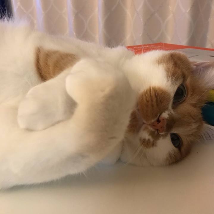 F6626cec 7cb2 40fd 9359 563ccd6301fb 1573814323045