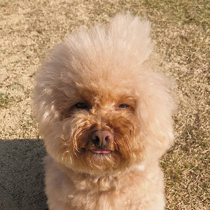 F662737a e94f 4b54 a110 426f8f609203 1542253210086