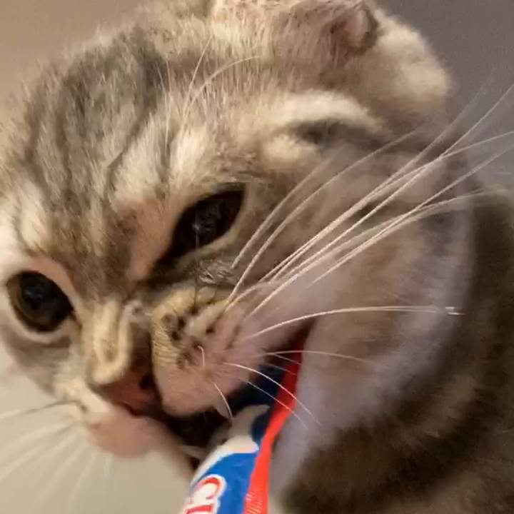 F6628ca4 a984 48a0 95d0 679fdb04c331 1601685701513