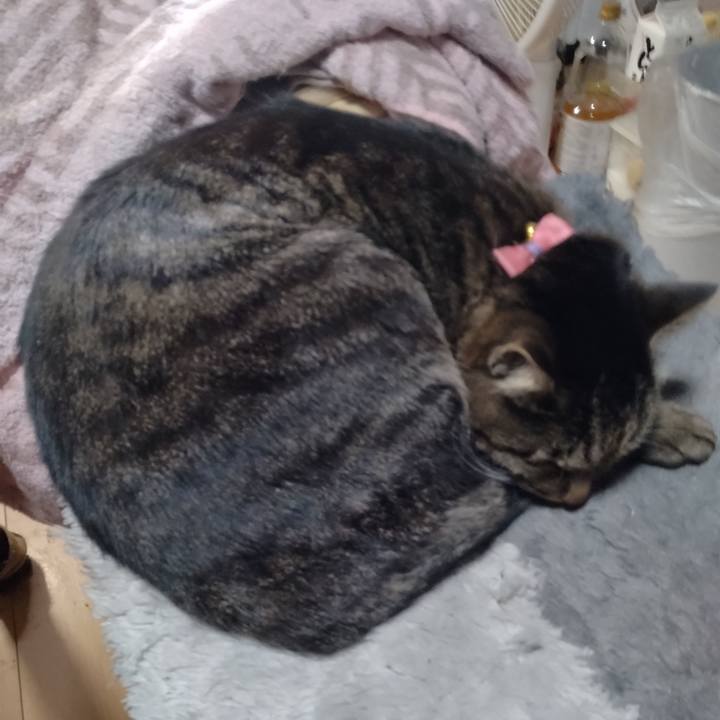 F66293f5 445e 42cd 89bb 3692c760c2db 1669686299552