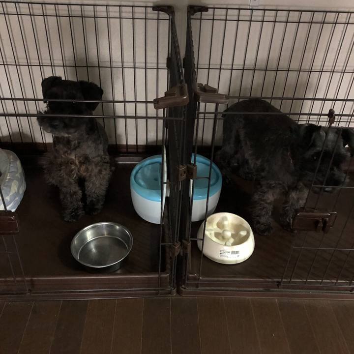 F662a4d7 864d 4287 9600 5bbf7c632e11 1543633030920