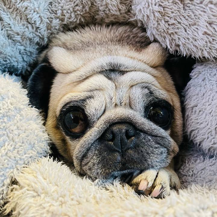 F662a5b6 4e32 491b ac4b 51e4b897ec50 1770941345547