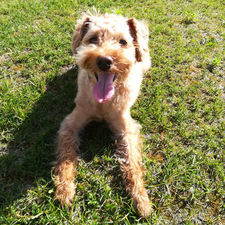 F66304f8 248d 41f9 bc65 ee7296c7a2d2 1561854654256