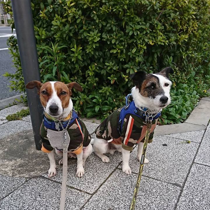 F663189a 4f0b 4a52 87e7 63effd5b0b05 1585174831989