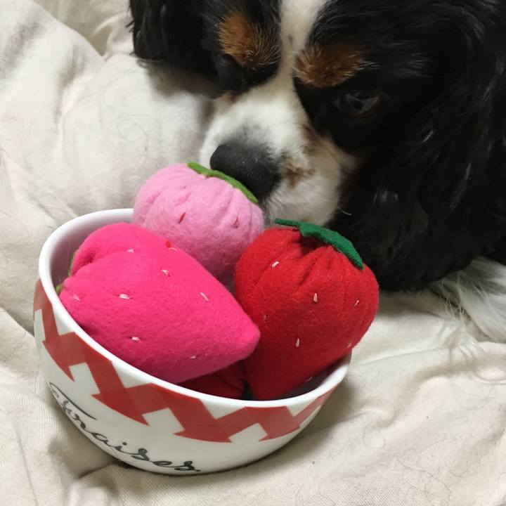 F663420b eb45 410e a29e 3761ddbc4a5d 1519786974186