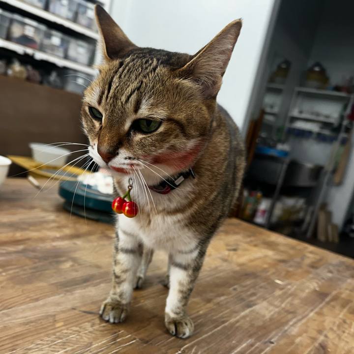 F6636161 4af4 4653 b0e4 159b930ff8b3 1769301632406