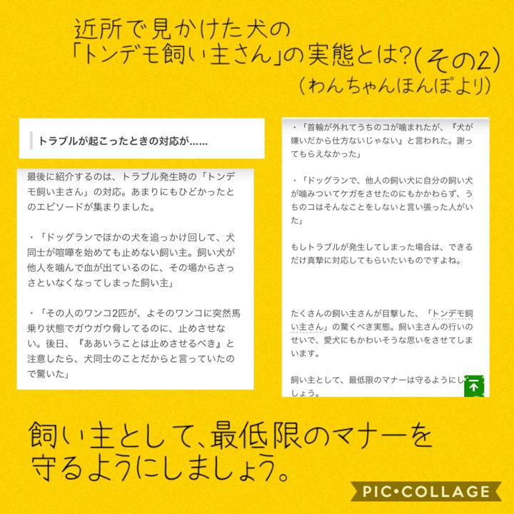 F6637a65 7a79 4803 ab07 599c7ae3c725 1541247277759