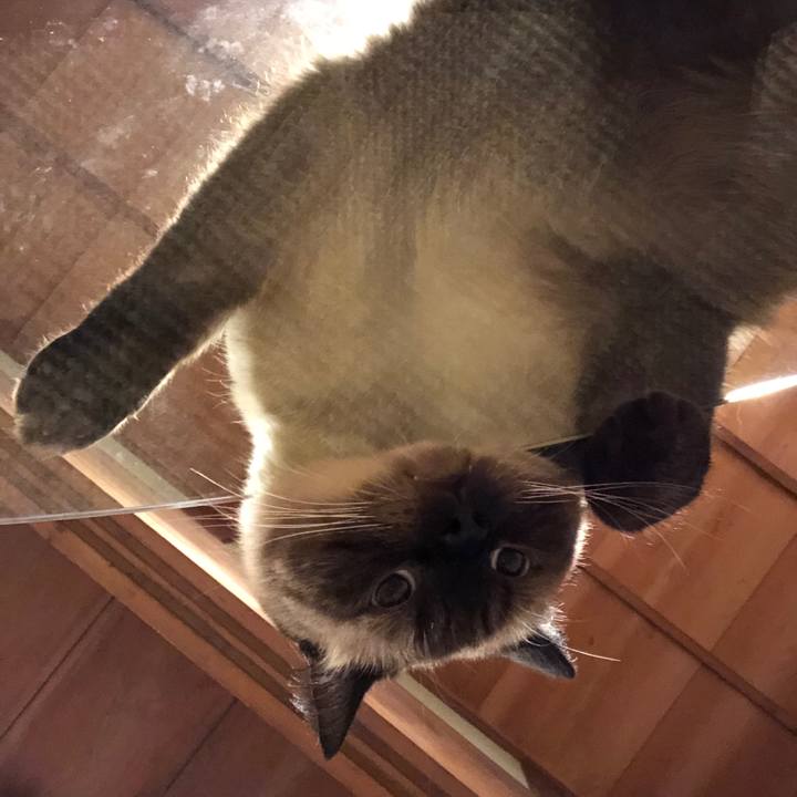 F663853a 6efb 455e aada 458792697316 1629717507026