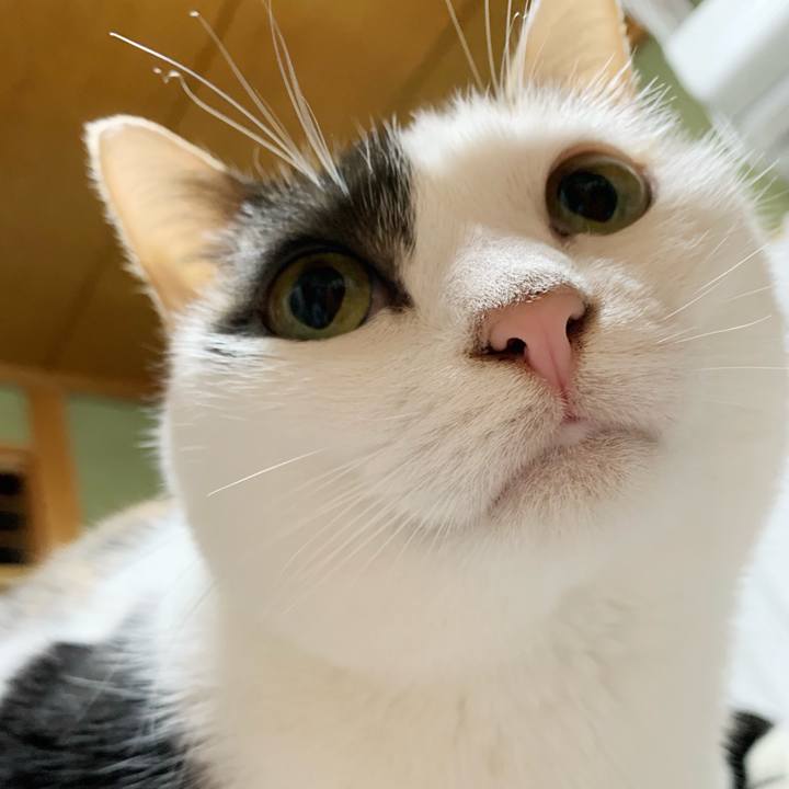 F663bcfb cf71 4676 899b 89bd8cb8e618 1541468028589