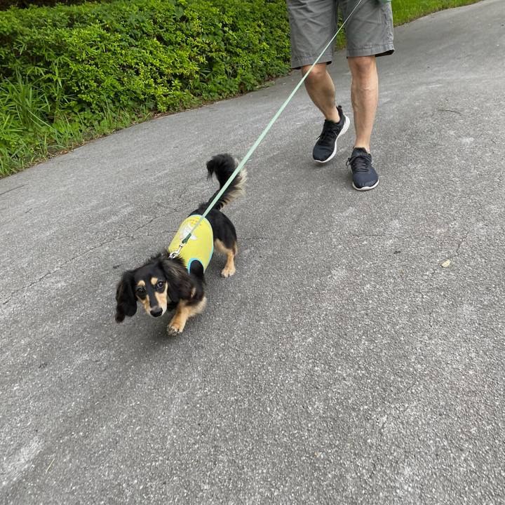 F663d649 6265 409e be9c 0676f97e77fd 1688511712730