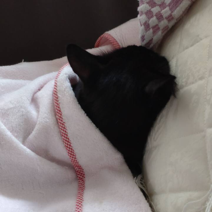 F663dcd3 2a99 4ebd 999c 3e714468241d 1632629600892