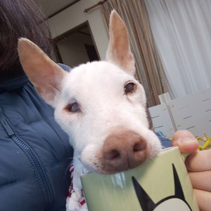 F663dfe1 7d05 4927 8bf8 15197a4cade2 1606779650856