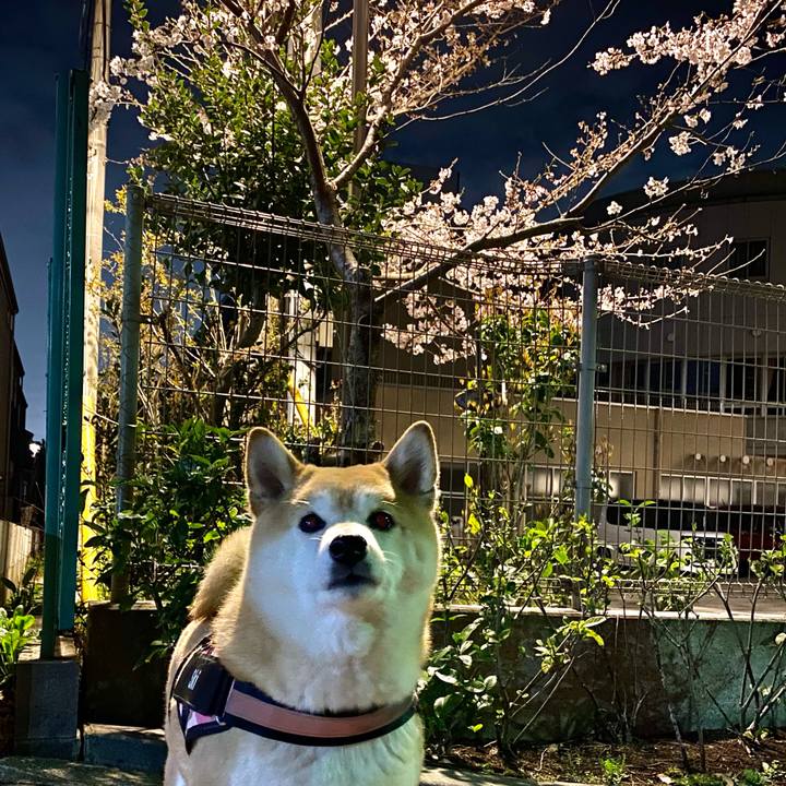 F663f8e1 fedf 4b3a b47f f8daabc99321 1648474518274