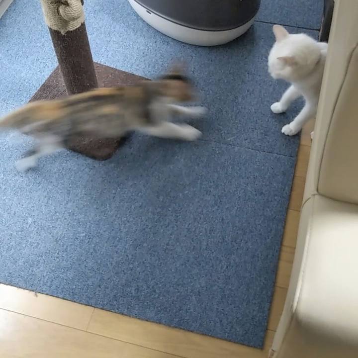 F6641187 0013 40eb b7cd 3e232d05ff5d 1628891150378