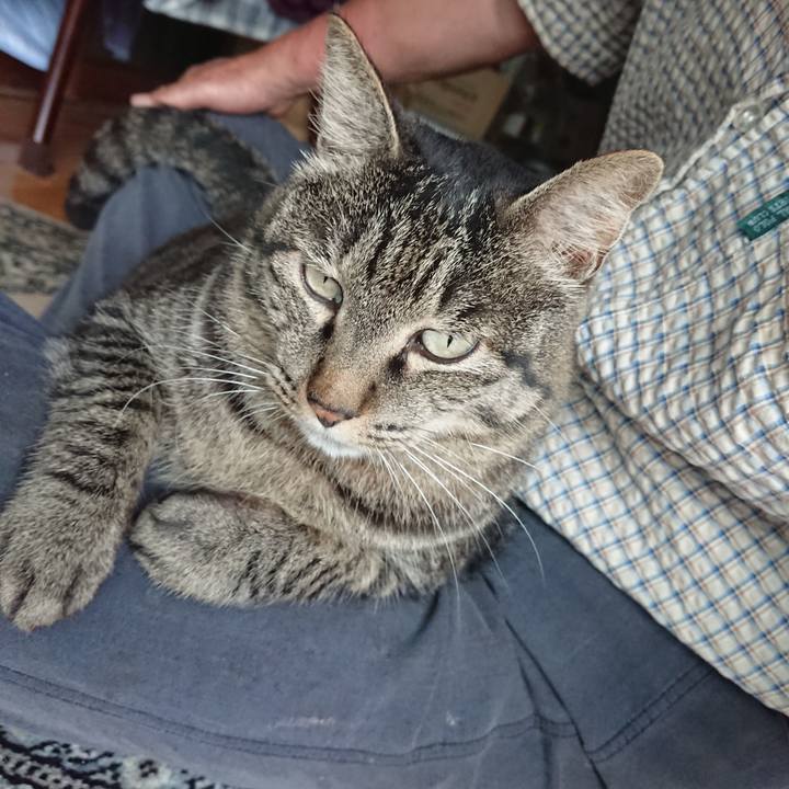 F6643a6b d23f 4a49 9722 3b6a85953f77 1658208392119