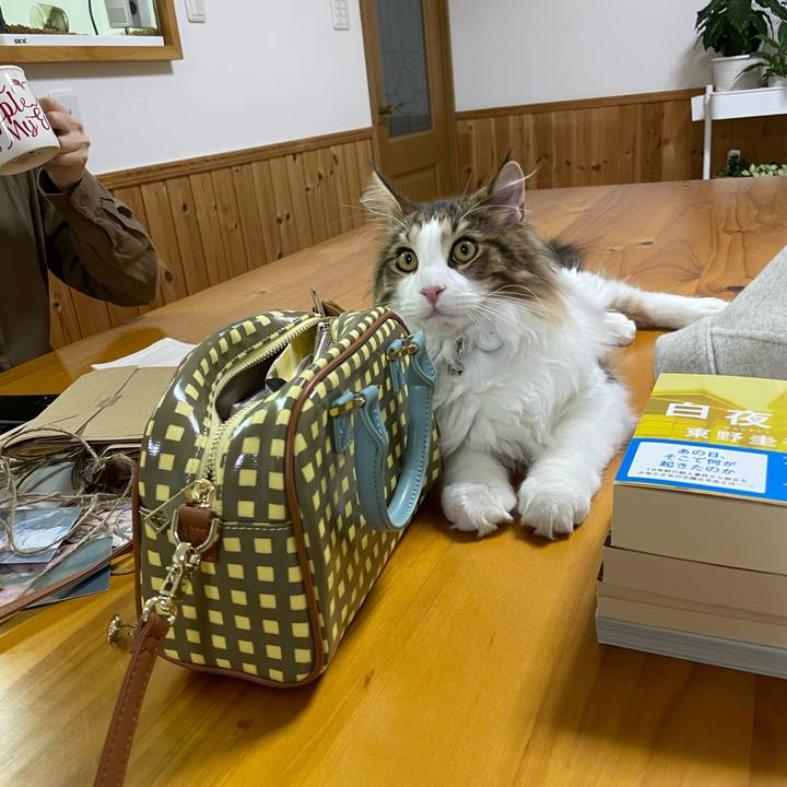 F664a53a 7229 4bef 8ce2 2bd75e669f81 1640613049500