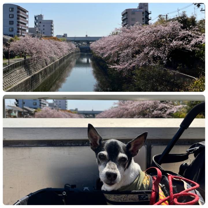 F6651581 e2b5 41fa 8729 1b47627adc65 1649471197171