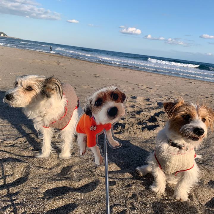 F6654786 ef0e 4f66 a992 493cab6b607f 1768398152922