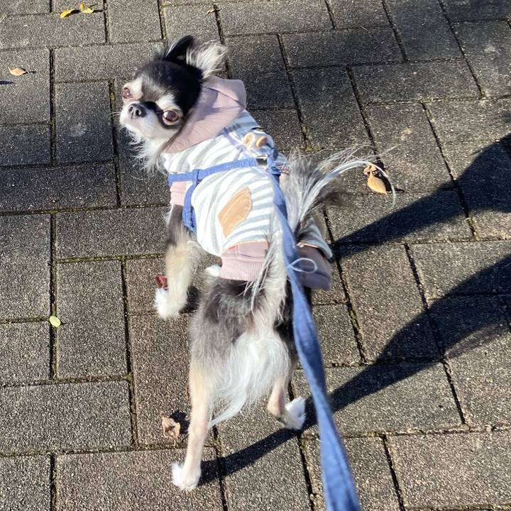 F6655194 16c6 462e b199 3961d65e5ab6 1669556952804