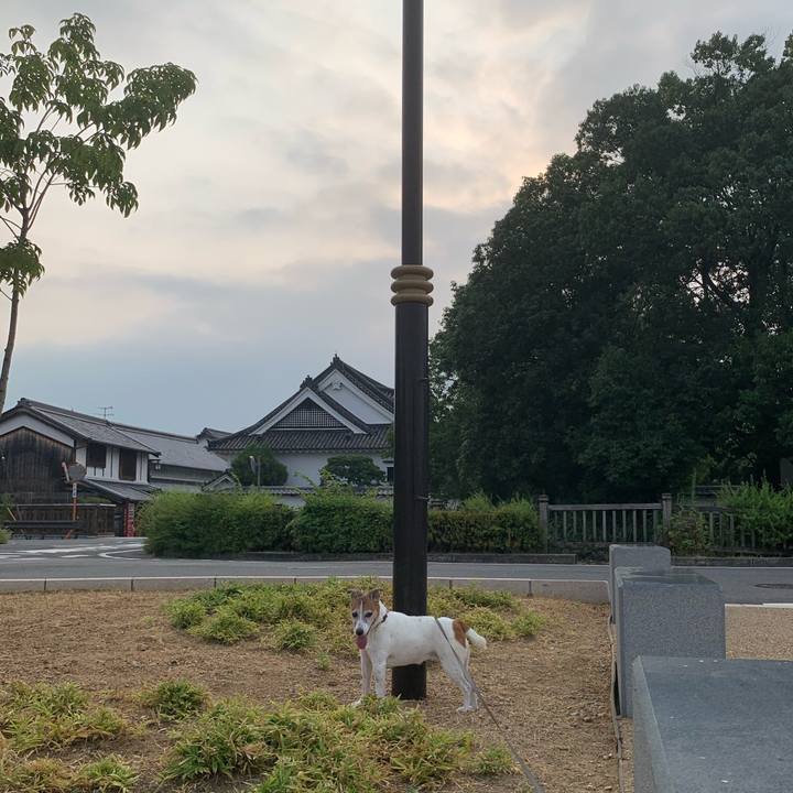 F6655b20 4e6a 4c96 b04e 3bfa0fc0c6b1 1598048455437