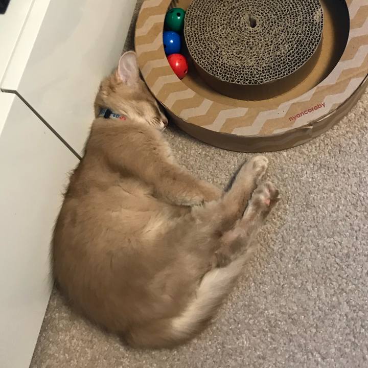 F6656ed4 a60a 4e78 adf5 77bc332b7c1a 1547627146935