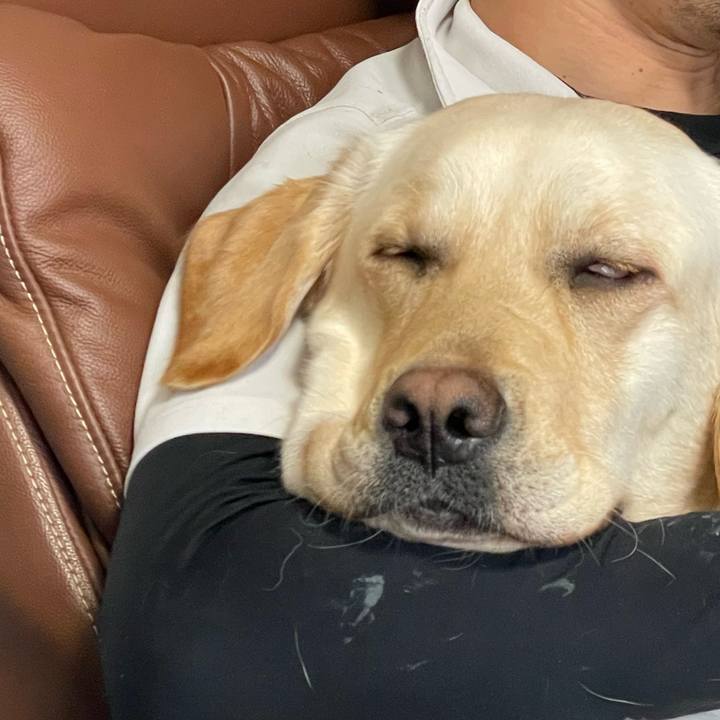 F66597e5 c0c2 4d77 99e2 75194f5f25ba 1682585906480