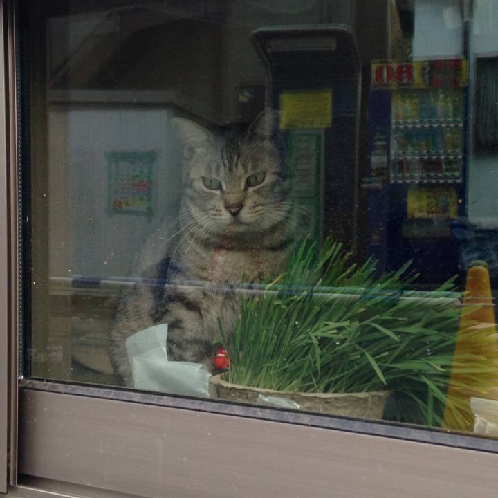 F6659dff 2a1c 4fe6 b82f 2d1ae3fe0838 1510737052900