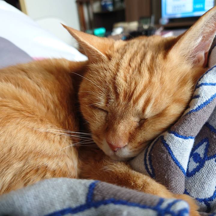 F665b0d3 3010 4c84 9c2f 0debb1c0a9f9 1760918374359