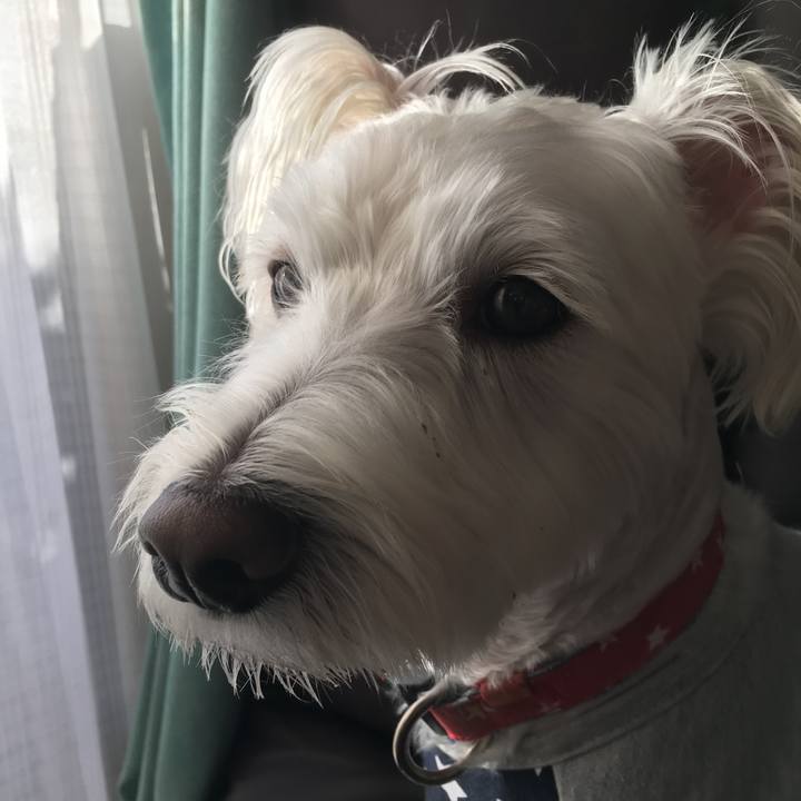 F665d9bf 89e0 4999 9638 f46bb4407448 1542392318204