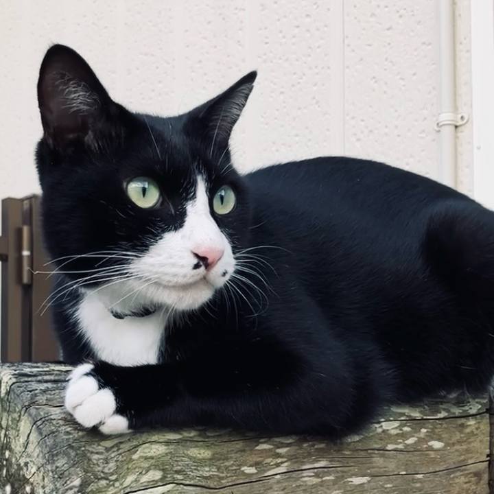 F665df7f 63e9 4ea3 b2a6 5404712e3f82 1727838737083